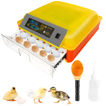 Incubators